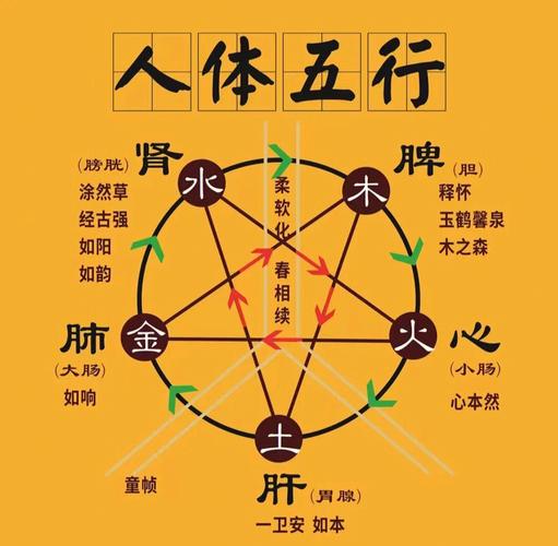 八字五行断健康思路