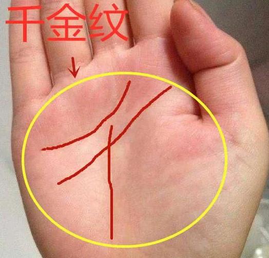 女人金库的手相