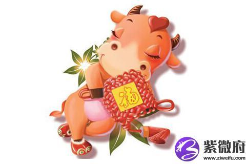 属牛人2019年运势
