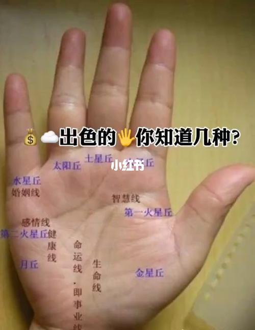 工作出色的手相