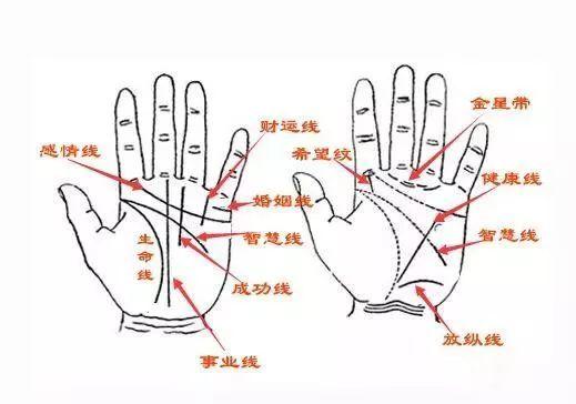 成功线具体代表什么含义呢