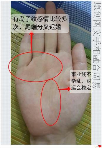 手相图解感情线下方两条线是什么