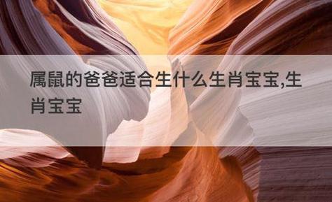 生肖属鼠妈妈和生肖属鼠爸爸适合生什么属相的孩子