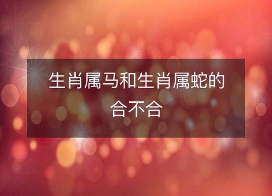 属蛇与属马的合不合