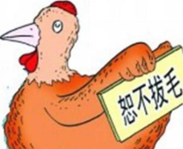 从不对老婆大吼的生肖男