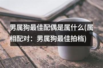 属狗人的最佳拍档