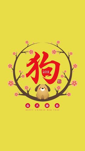 属狗人行大运的年龄查询