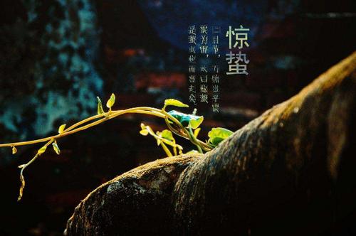 惊蛰这天有什么讲究和禁忌呢