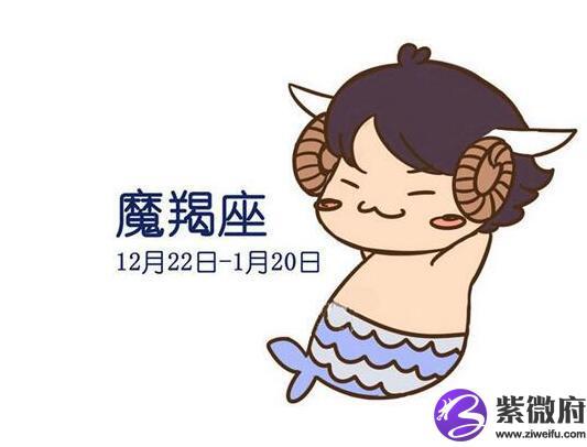 属蛇摩羯男生喜欢什么