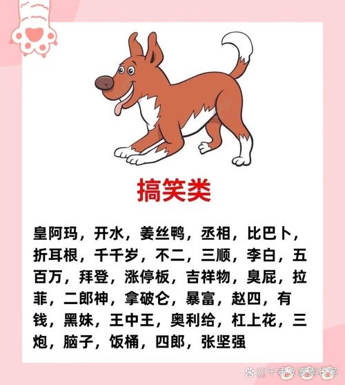 狗女配什么属相最好