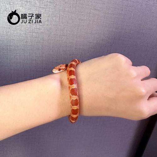 属蛇人戴什么手链最好