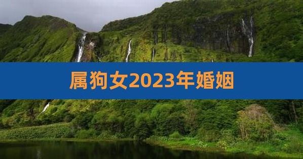 1970年53岁的属狗人2023年感情婚姻顺利
