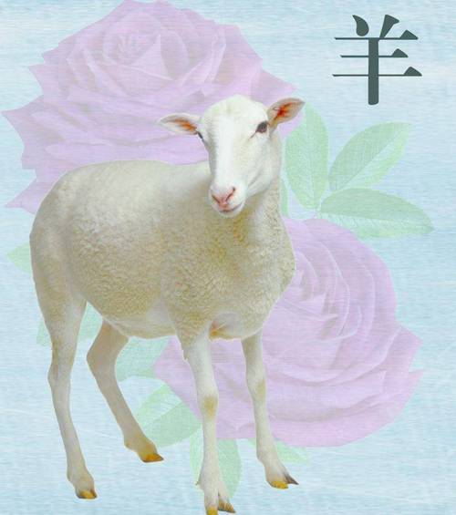 2021年属羊的女生被什么生肖的人宠爱最幸福