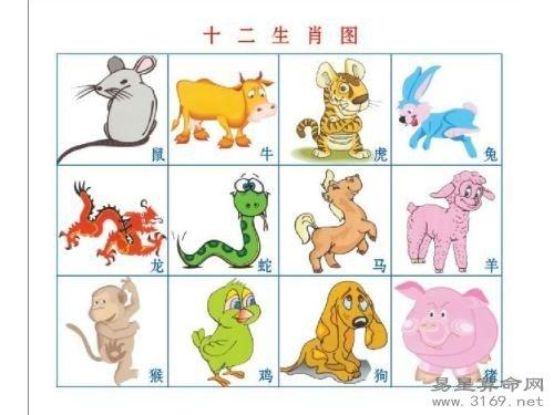 属猴找对象时有什么标准