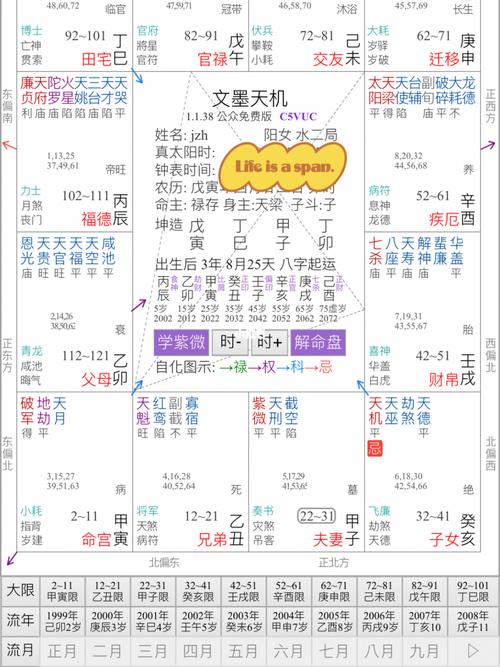 紫薇命理分析——投资百万元的遗憾