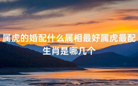 生肖属虎人的婚配
