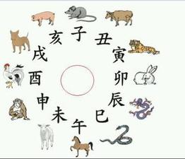 十二生肖中越相处越让人喜欢的生肖