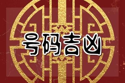 属猪车牌号码吉凶数字