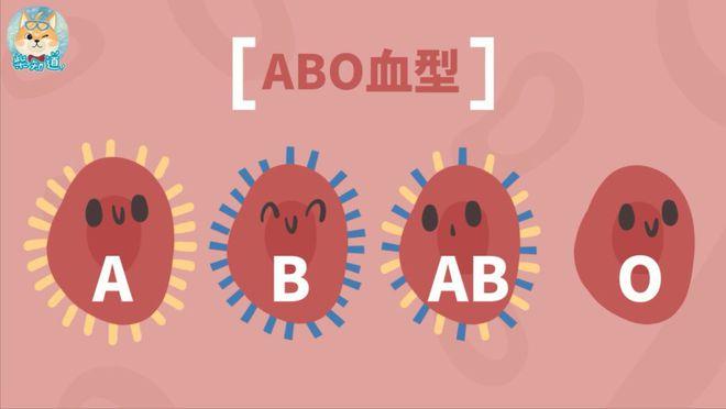 A型血男与B型血女在一起生活幸福吗