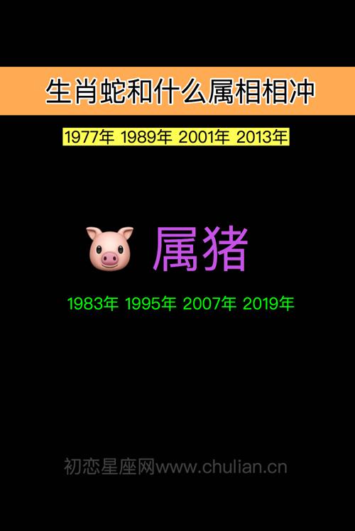 生肖猪和蛇为什么相冲