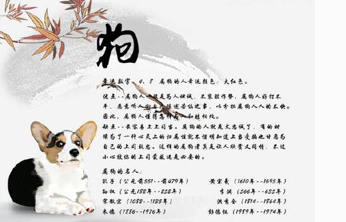 生肖狗最适合在哪个行业发展