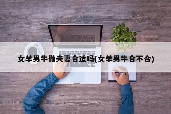 女羊男牛相配吗