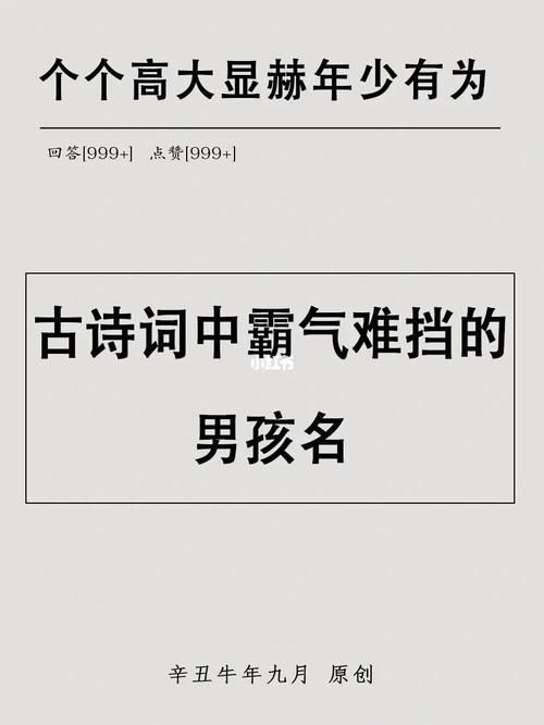 有着霸道总裁潜质,姓苏的男孩霸气名字