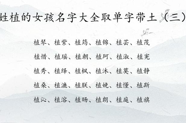 寓意好有内涵的植姓女孩名字