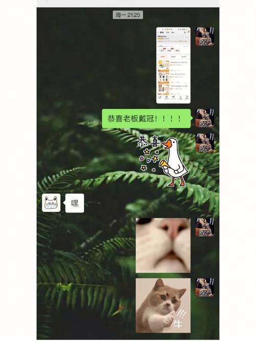 没钱装孙子,有钱变大爷的星座
