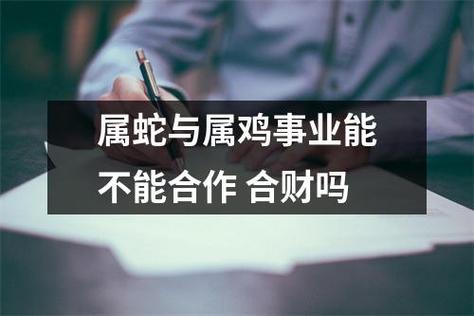 蛇和鸡做生意合不合财,有什么合作禁忌