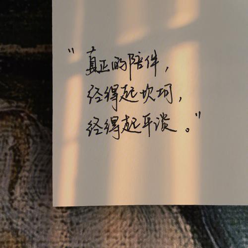 遇见一个合适,又能长久相伴的人有多难?