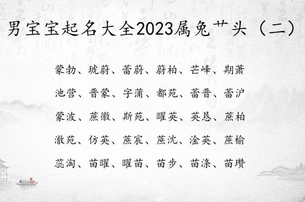 兔年男孩林姓名字首选,2023年出生属兔的男宝宝取名