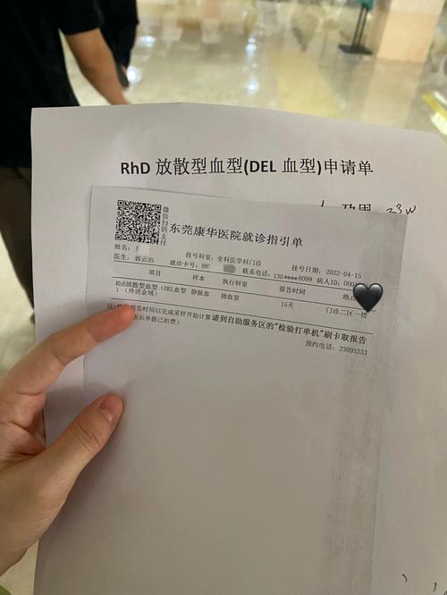 血型rhd(十)是什么意思