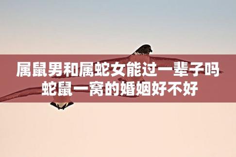 属蛇女和属鼠男结婚好吗