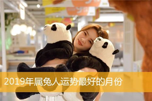 属兔2019运气最好的月份是几月