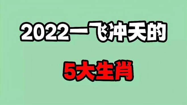 一飞冲天是什么生肖查一下