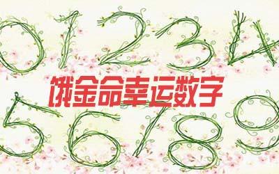 饿火命幸运数字