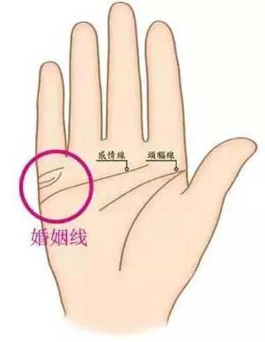 感情线看你的感情如何