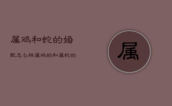 属鸡和蛇婚配好不好