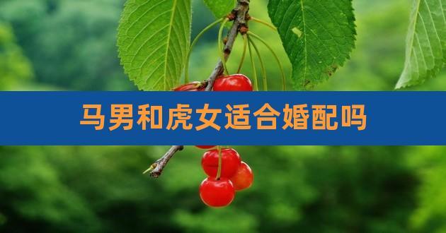 男虎女马结婚会离婚吗?属虎O型摩羯座人职业方向?
