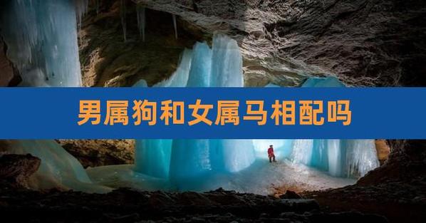 生肖马男和狗女合适吗