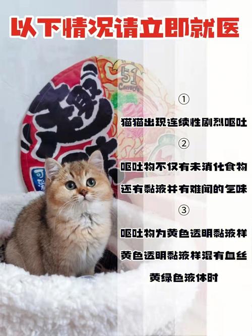 梦见小猫生病了是什么意思