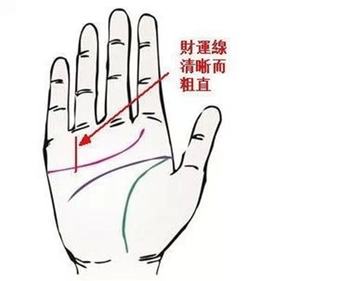 相术:六种不缺钱花的手型