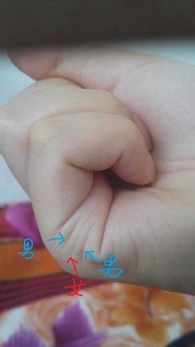 看哪条手纹生几个孩子