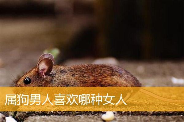属狗的女人喜欢什么样的男人
