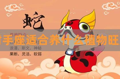 射手座最容易发财的生意