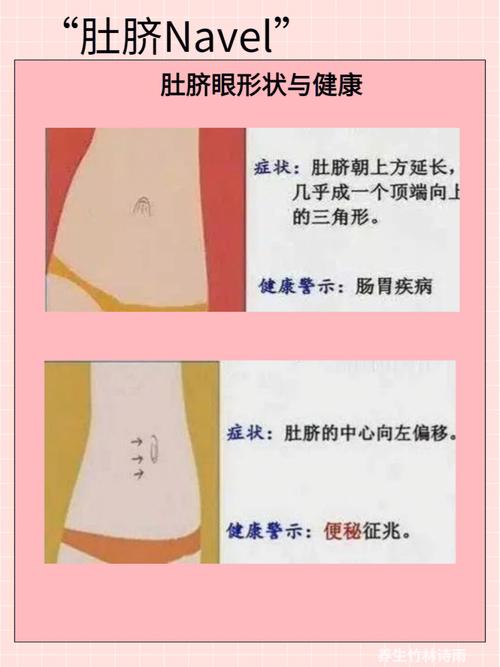 肚脐眼与运势 肚脐眼与人一生的命运