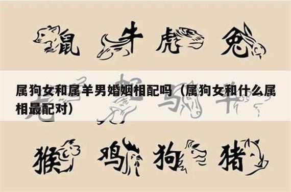 适合狗狗的名字,适合属羊女生的名字