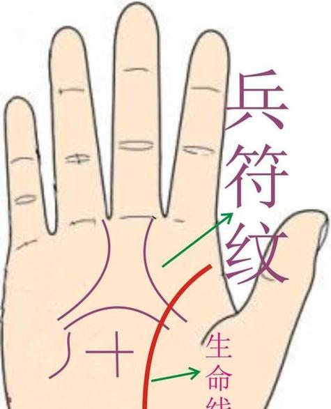 早年成名 少年得志的手相