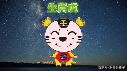 属虎分别代表了哪个菜系